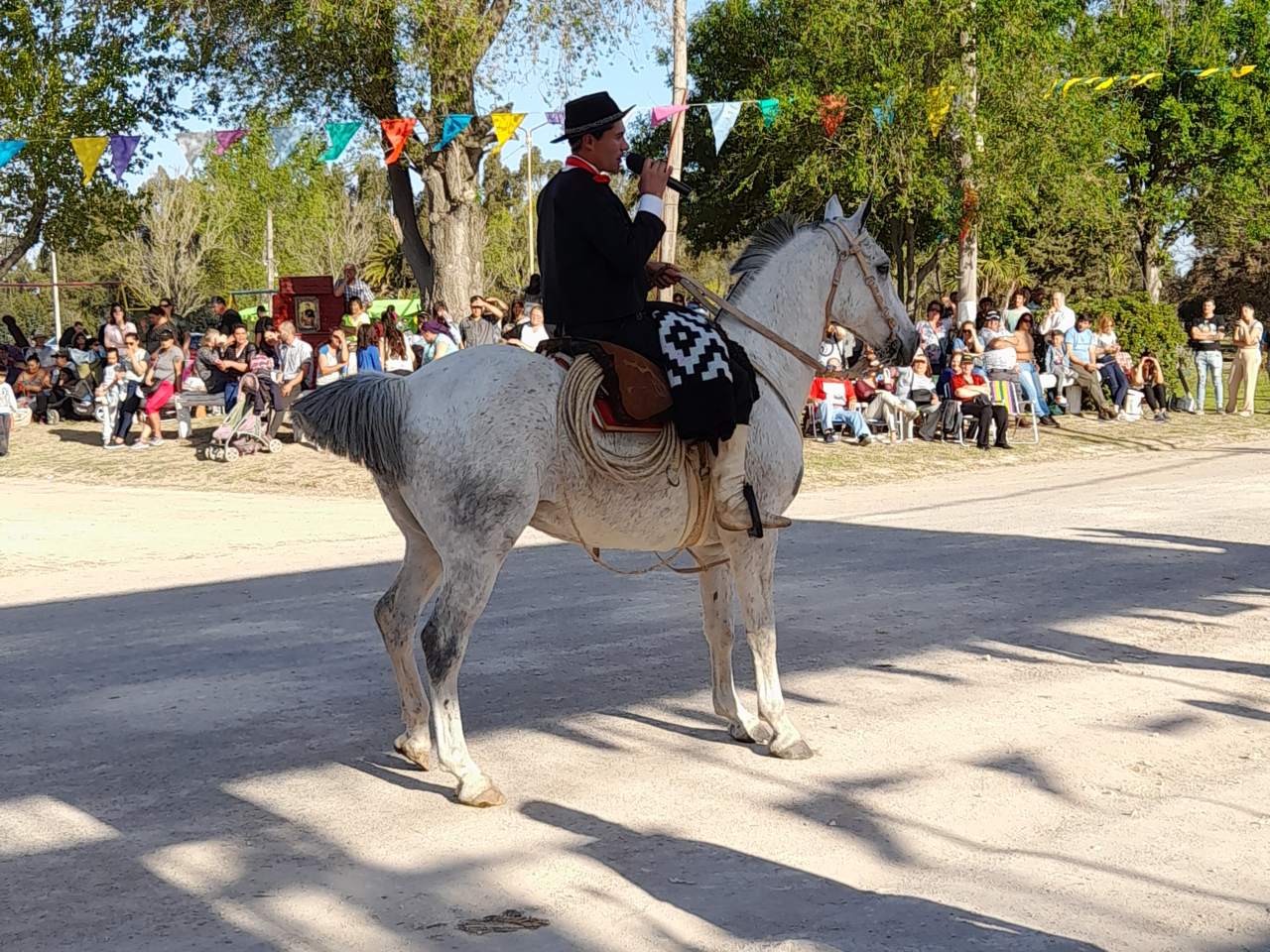 Fiesta Provincial del Girasol